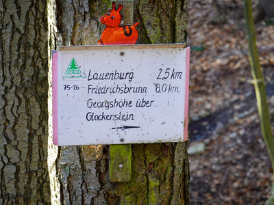 Trail sign with animal