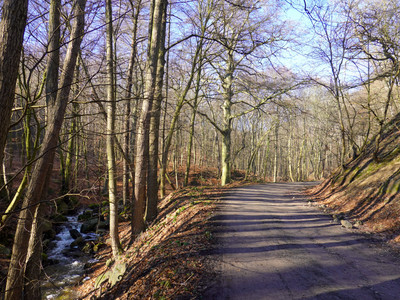 Path in the Wurmbachtal