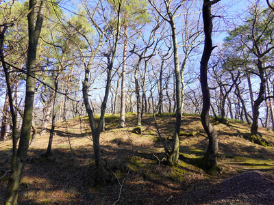 a first look at the Lauenburg ruin (outer bailey)