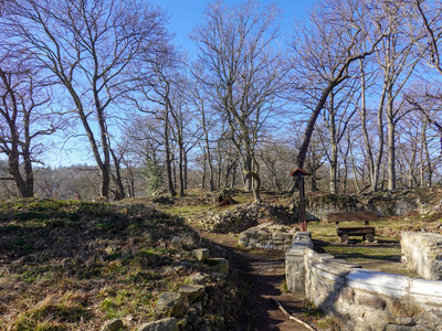 Wall remains of the castle chapel