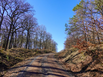 Hiking trail Alter Steiger