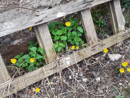 Impressions by the wayside Esch