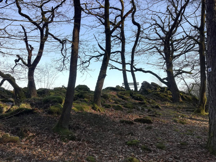 Aussichtspunkt Weissenfels (1)