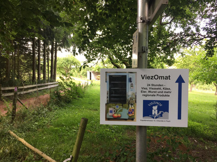 Viezhof Hunsicker (7)