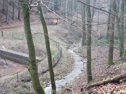 Quelle der Kehrbach (2)