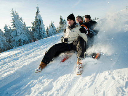 Rodeln im Thüringer Wald