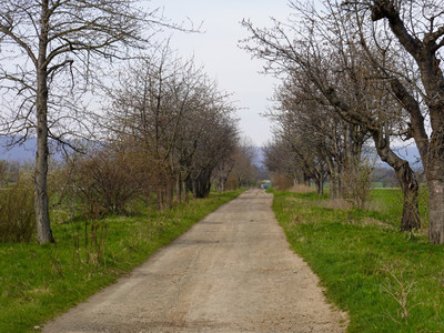 Dirt road towards roundabout
