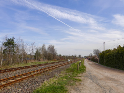 Holzbreite, shortly before the Neinstedter Feldweg