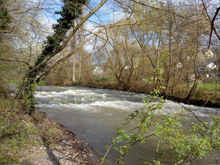 Rapids in the Lieserbach near Maring