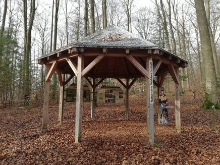 Information pavilion near-natural forest management (1)