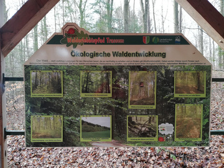 Information pavilion near-natural forest management (2)