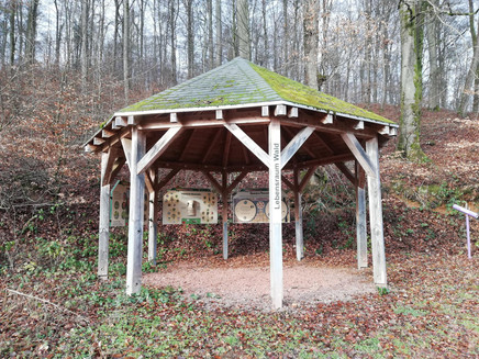 Information pavilion forest habitat (1)