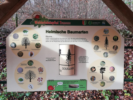Information pavilion Habitat Forest (2)