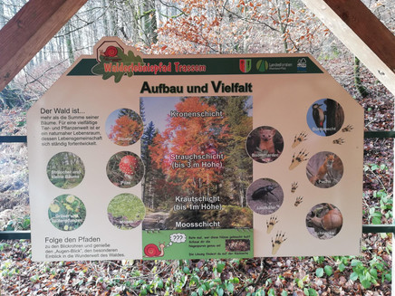 Information pavilion Habitat Forest (3)