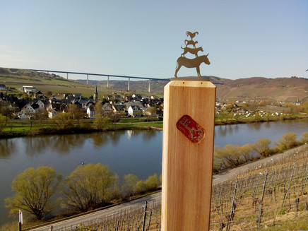 Erden und die Hochmoselbrücke vom Klettersteig