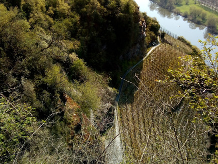 Frühjahr am Klettersteig