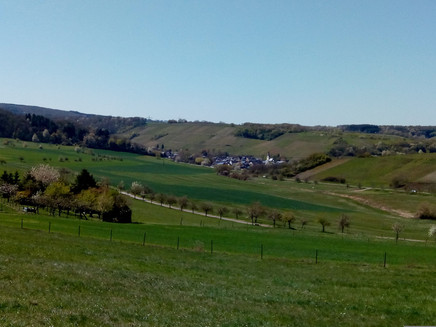 Weinbaugemeinde Burgen