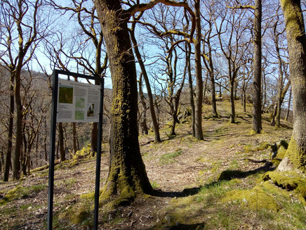 Barbelley Information