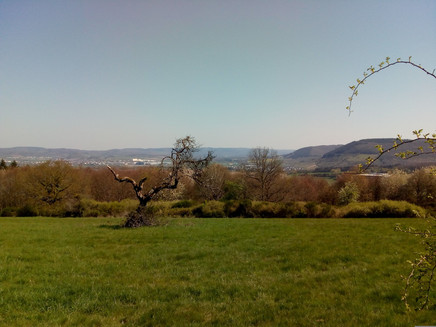 View towards the Wittlich Basin