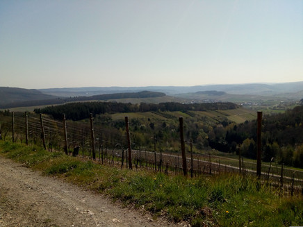Distant view from the Förster-Claus-Weg