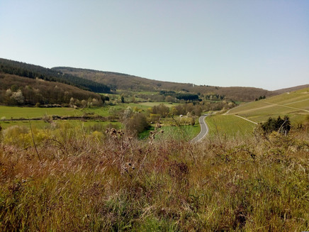 Oestelbachtal towards Klausen