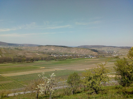 Aussicht vom Panoramaweg