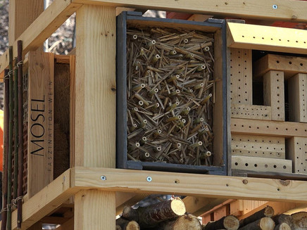 Kita Kiste im Lebensturm