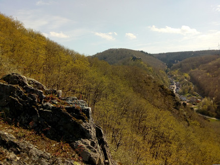 Thalvelenz und Veldenzer Schloss