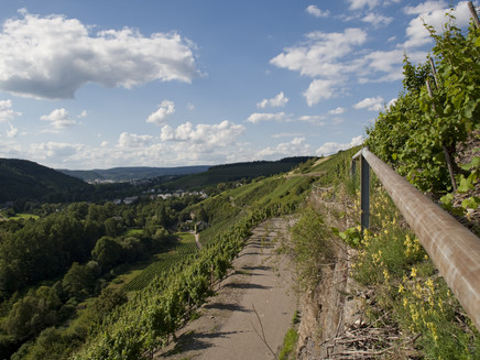 Views into the lower Ruwer valley