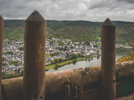 Aussicht Moseltal