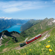Dampflokomotive und Wagen unterwegs ins Tal unterhalb Brienzer Rothorn