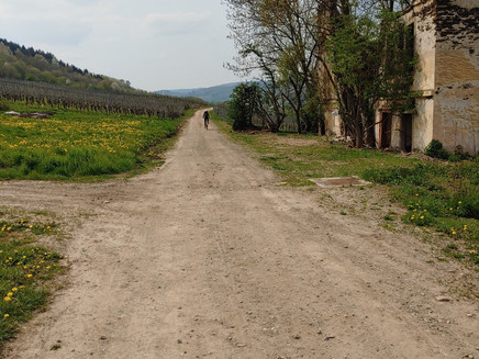 Weinbergsweg towards Marienburg