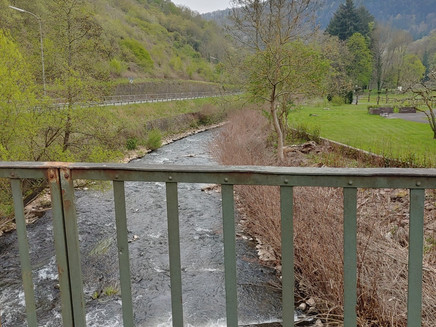 Alfbach towards St. Aldegund