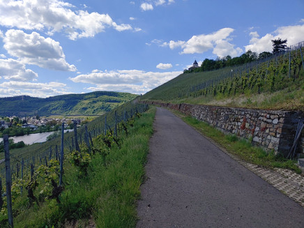 Weinbergsweg towards St. Aldegund