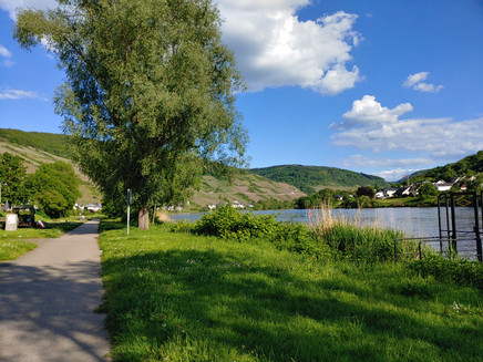 Mosel cycle route near Zell-Merl
