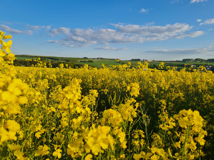 Unterwegs auf dem Kirchspiel Wanderweg