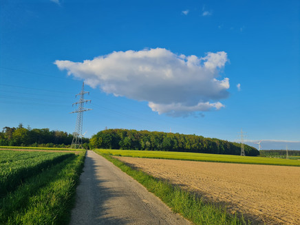 Kirchspiel-Wanderweg bei Blankenrath
