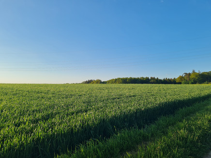 Natur pur auf dem Kirchspiel-Wanderweg