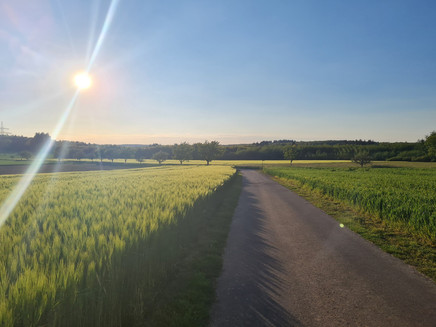 Kirchspiel Wanderweg im Zeller Land