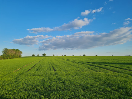 Kirchspiel Wanderweg