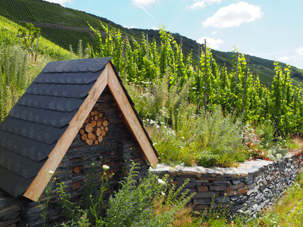 Wunderschöne Insektenhotels inmitten der Weinberge