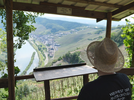 Rastmöglichkeit oberhalb der Weinberge