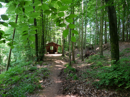 Kleine Hütte im Wald