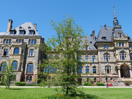 Lieser Castle