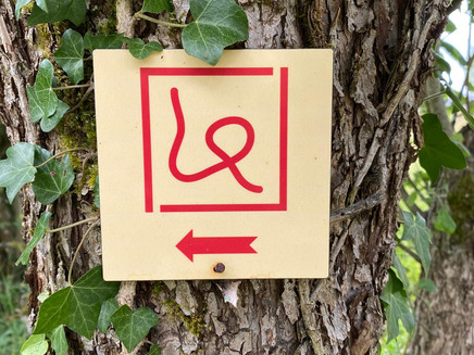 Signposting Impulse Trail
