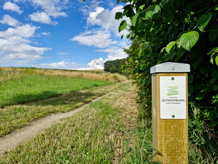 Konzer Höhenrunde: Wiese vor dem Wurzelweg