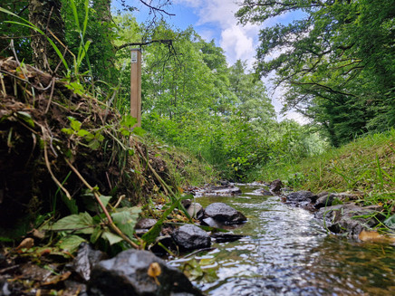 Konzer Höhenrunde: Bachquerung