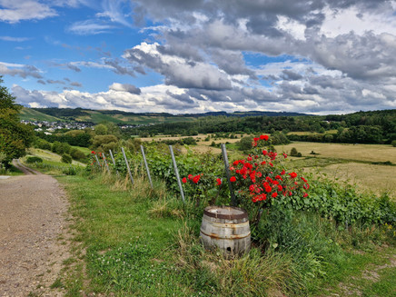 Konzer Höhenrunde: Aussicht an der Falkensteiner Kapelle