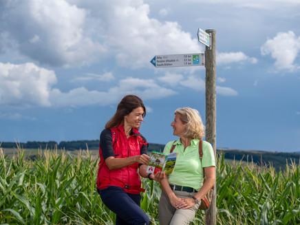 Blick über die Hunsrückhöhen