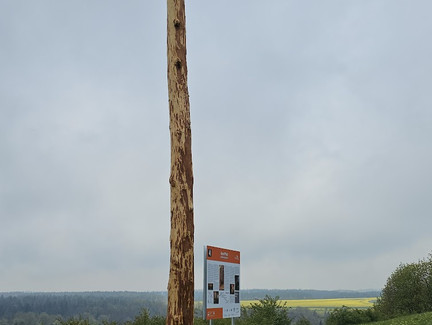Markierung der verborgenen Bleßberghöhle mit Totholzstamm